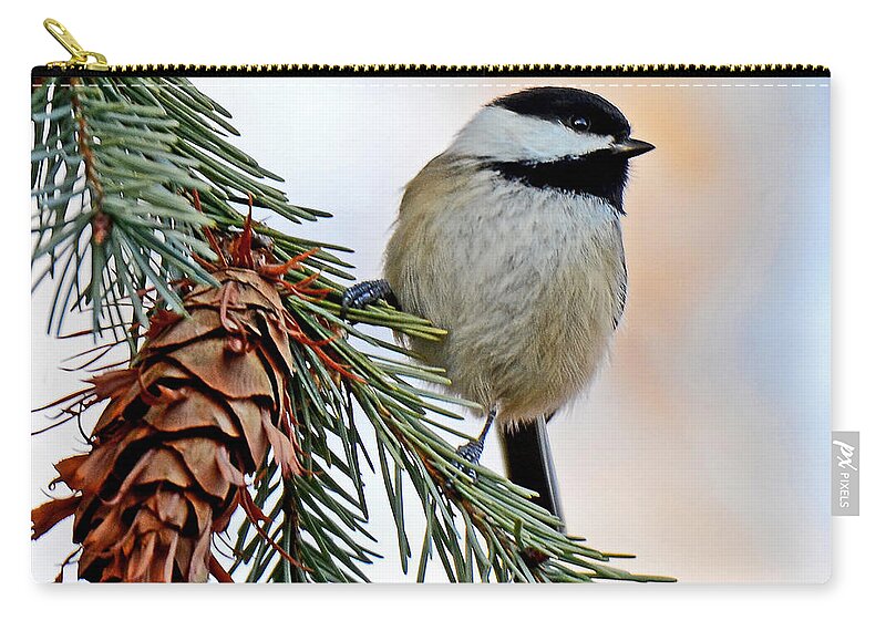Chickadee Zip Pouch featuring the photograph A Christmas Chickadee by Rodney Campbell