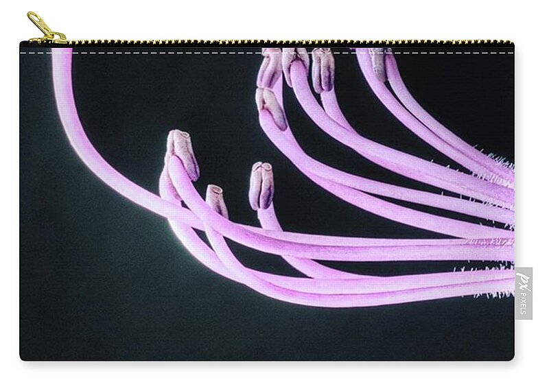 Beautiful Zip Pouch featuring the photograph A Close Up Of The Reproductive Parts Of by John Edwards