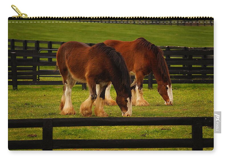 Horses Zip Pouch featuring the photograph A Day at the Park by Beth Collins