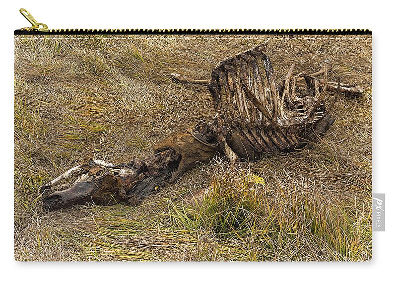 Bones Zip Pouch featuring the photograph A Death in the Natural World by Belinda Greb