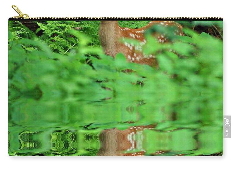 Deer Zip Pouch featuring the photograph A Deer Reflection by Barbara S Nickerson
