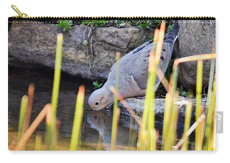 Mourning Dove Zip Pouch featuring the photograph A Drink in Private by Kerri Farley