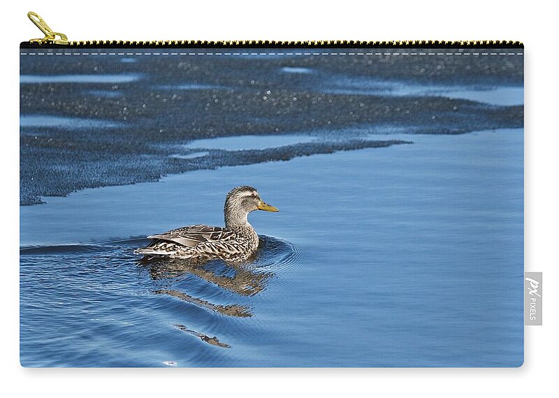 Duck Zip Pouch featuring the photograph A Female Mallard in Thunder Bay by Michael Peychich