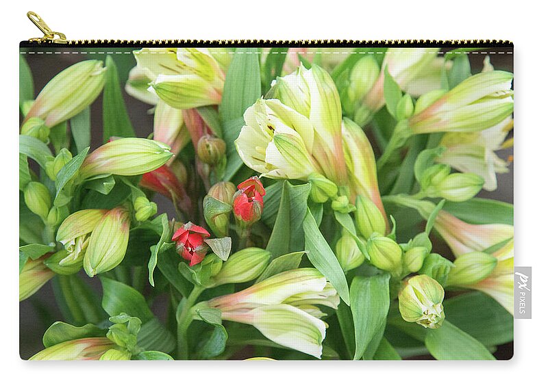 Flower Zip Pouch featuring the photograph A Flower Just Blooms by Fotosas Photography