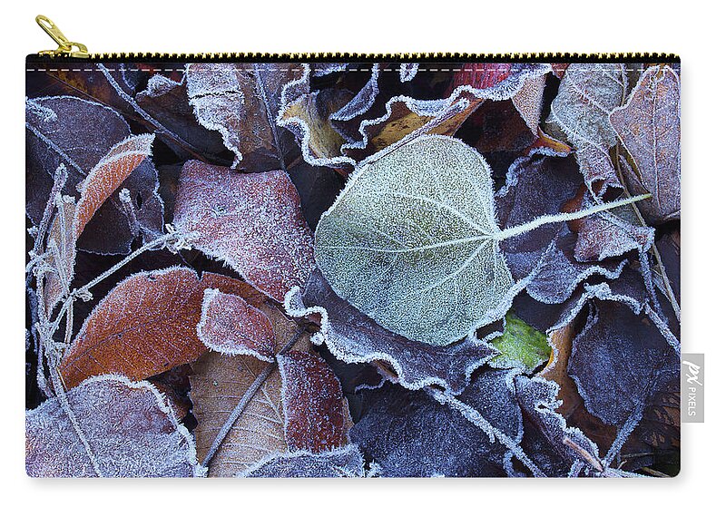 Leaves Carry-all Pouch featuring the photograph A Frosty November Morning by Mike Eingle