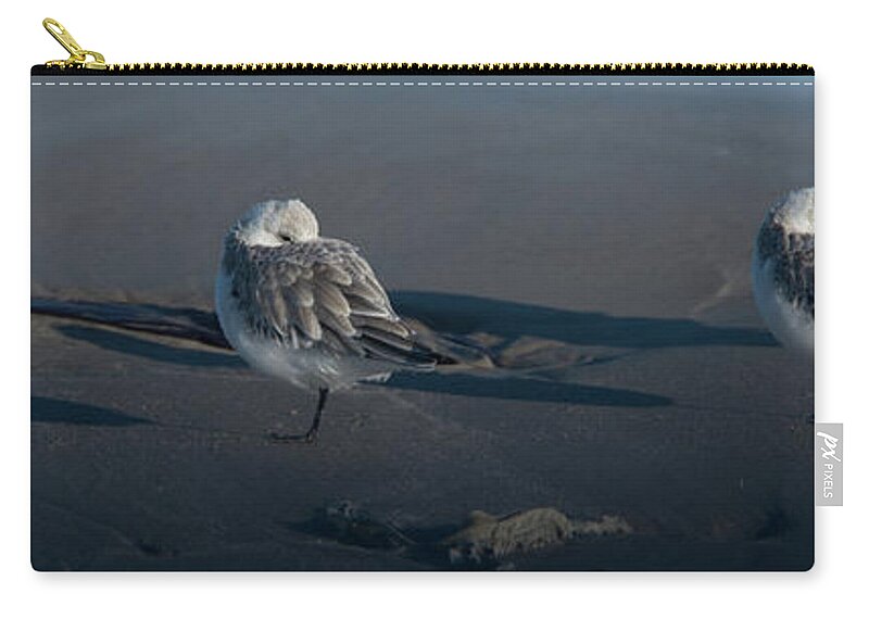 Padre Island National Seashore Zip Pouch featuring the photograph A Gathering of Dunlins by Frank Madia