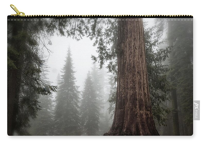 Sequoias Zip Pouch featuring the photograph A Giant in the Fog by Belinda Greb