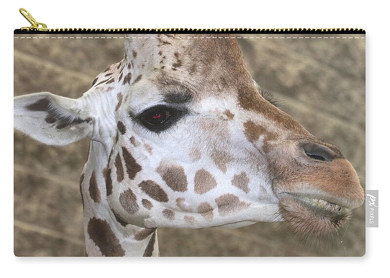 Giraffe Zip Pouch featuring the photograph A Giraffe's Portrait by Living Color Photography Lorraine Lynch