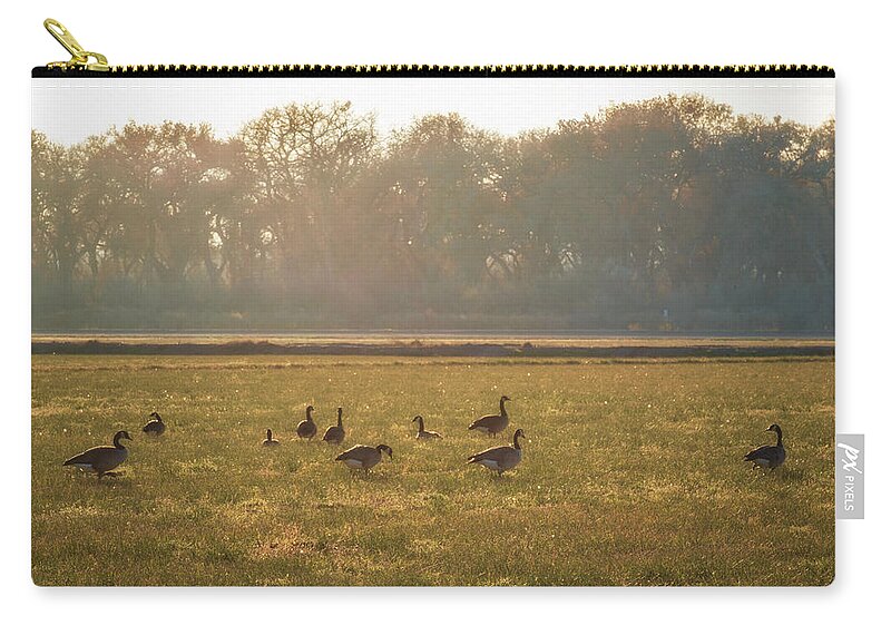 Geese Zip Pouch featuring the photograph A Golden Dream of Geese by Mary Lee Dereske