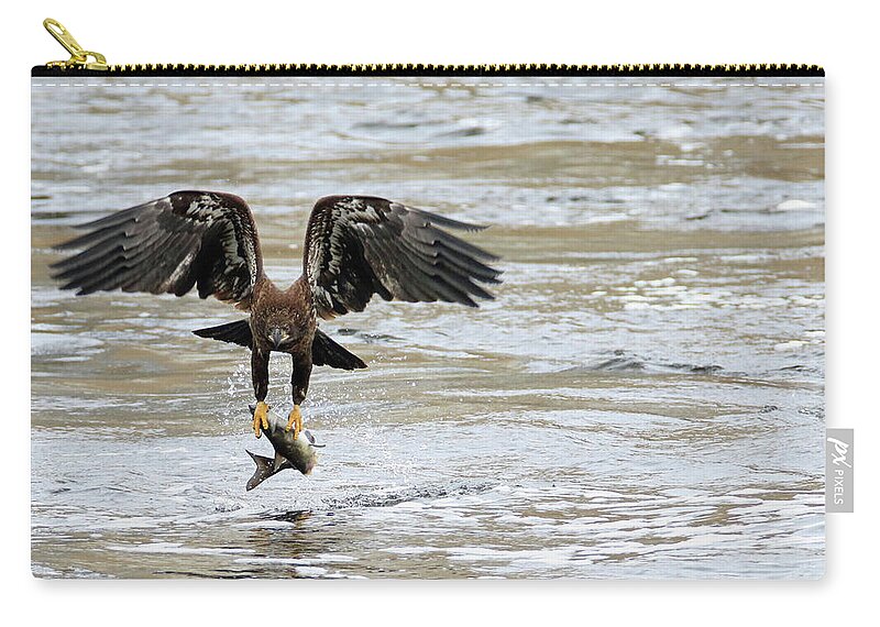 Bald Eagle Zip Pouch featuring the photograph A Heavy Meal by Brook Burling