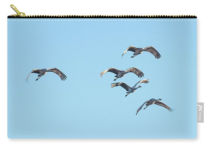 Crane Zip Pouch featuring the photograph A Herd Of Sand Hill Cranes by Paul Freidlund