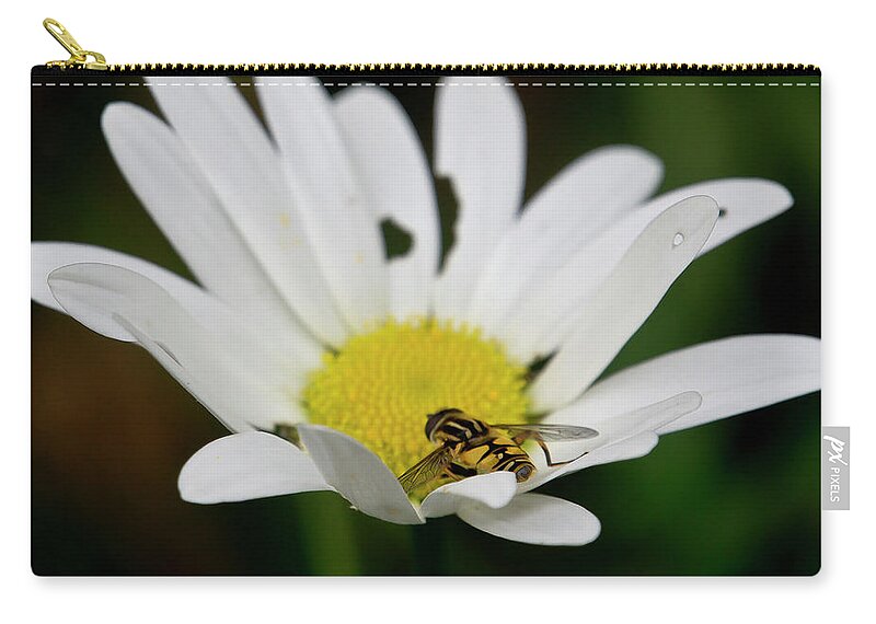 Nature Zip Pouch featuring the photograph A Hoverfly and a Daisy by Elena Perelman