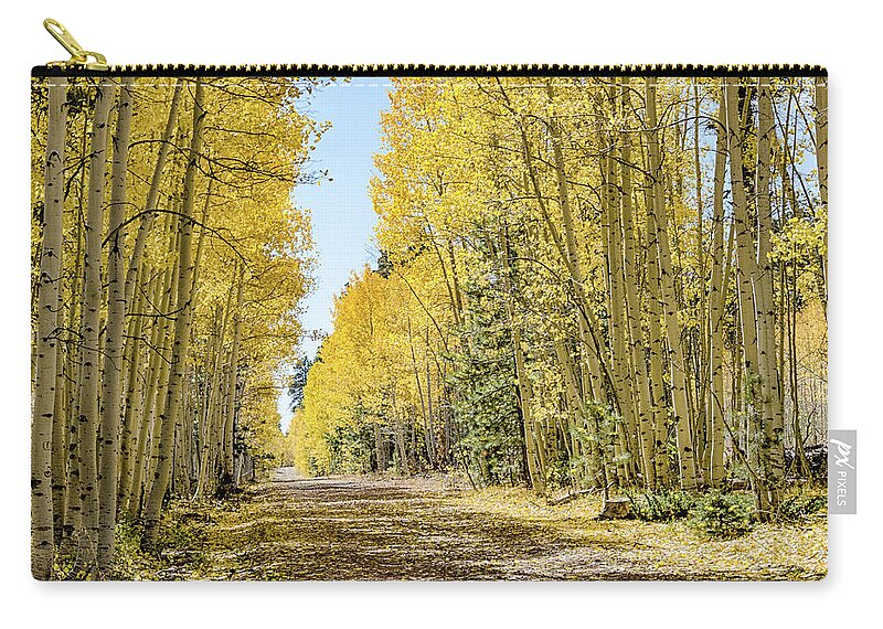 Quaking Aspen Zip Pouch featuring the photograph A Lane of Gold by Gaelyn Olmsted