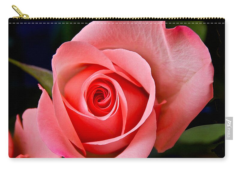 Photography Zip Pouch featuring the photograph A Loving Rose by Sean Griffin