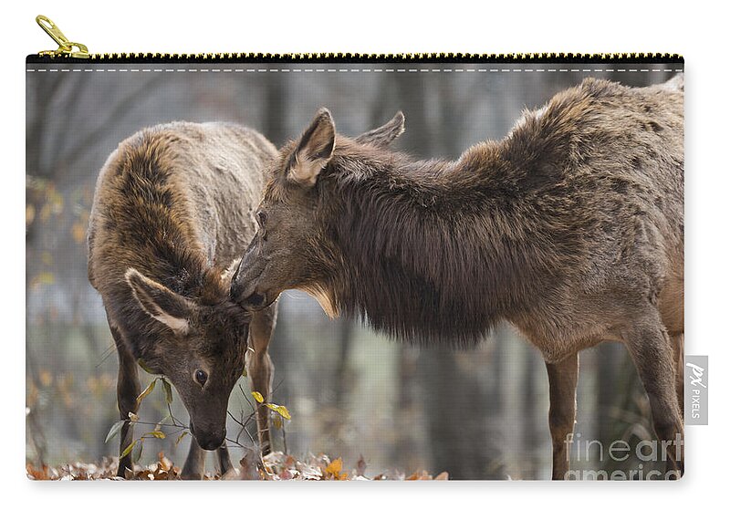 Elk Zip Pouch featuring the photograph A Mother's Love by Andrea Silies