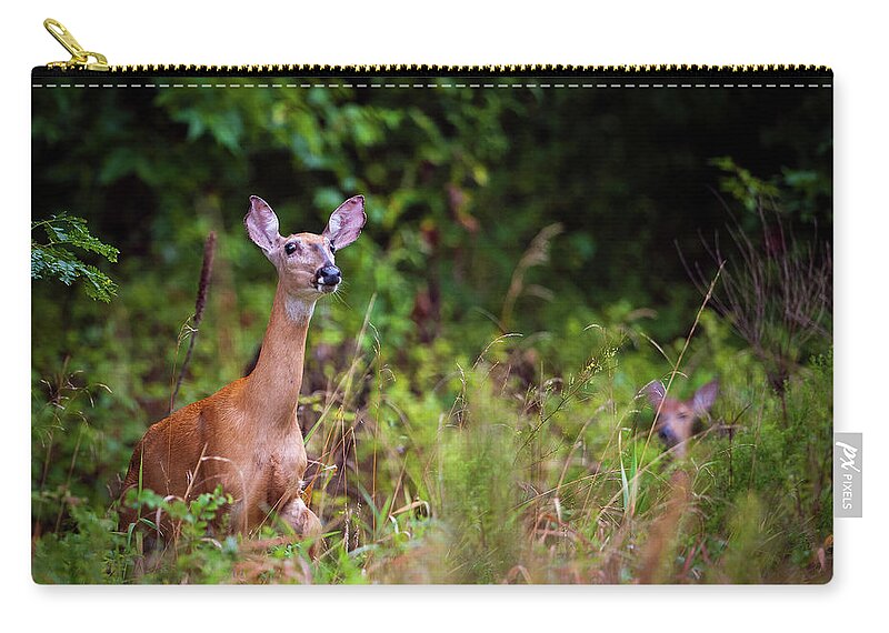 Nature Zip Pouch featuring the photograph A Mother's Vigilance by Jeff Phillippi