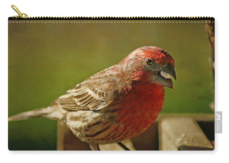 A Mouth Full Zip Pouch featuring the photograph A Mouth Full by Susan McMenamin