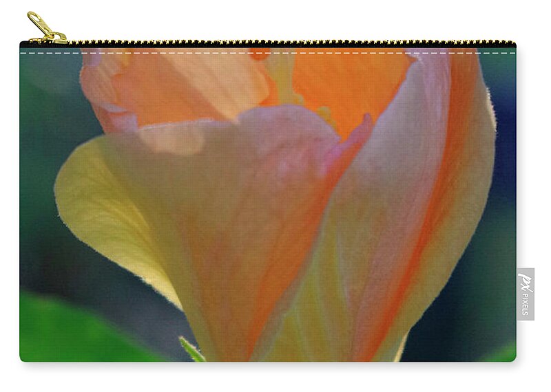 Nature Carry-all Pouch featuring the photograph A new day. by Bess Carter