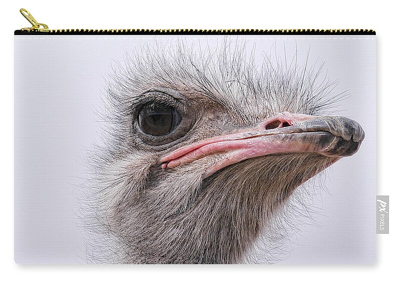 Ostrich Zip Pouch featuring the photograph A Penny For Your Thoughts by Becky Titus