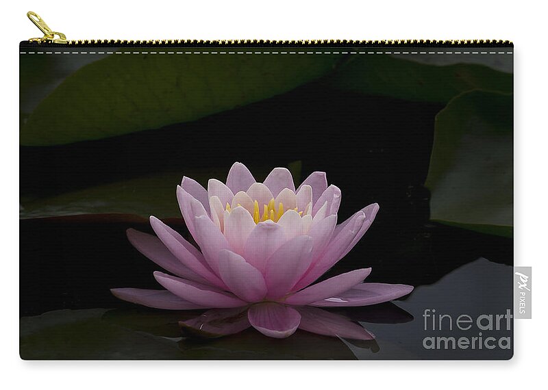 Flower Zip Pouch featuring the photograph A Perfect Bloom by Andrea Silies