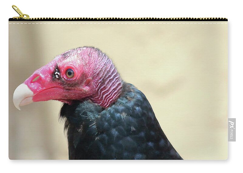Animal Zip Pouch featuring the photograph A Profile of a Turkey Vulture, Cathartes aura by Derrick Neill