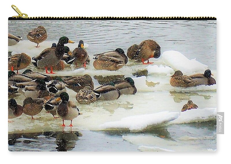 Birds Zip Pouch featuring the photograph A Snowy Bunch by Jewels Hamrick