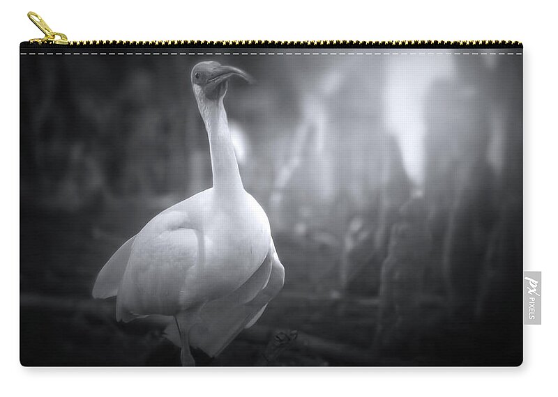 Ibis Zip Pouch featuring the photograph A Stroll Through The Forest by Mark Andrew Thomas