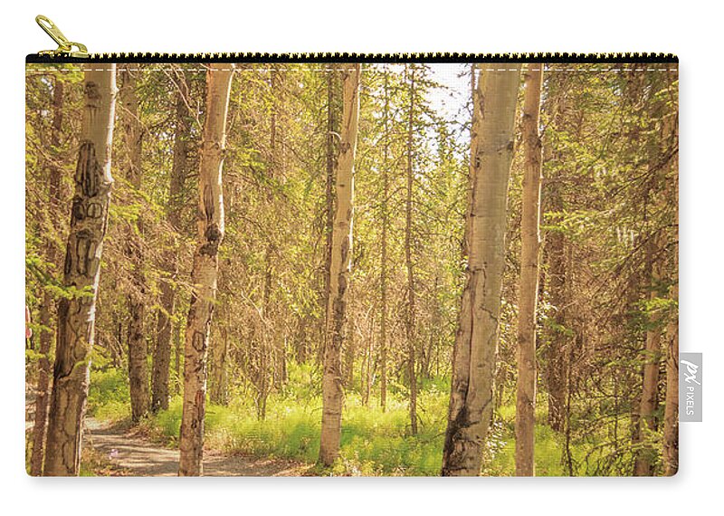 Alaska Zip Pouch featuring the photograph A Sunny Day Hiking in Denali by Joni Eskridge