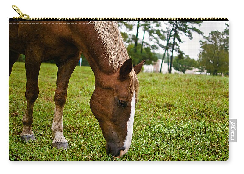Horse Zip Pouch featuring the photograph A Sweet September by Lara Morrison
