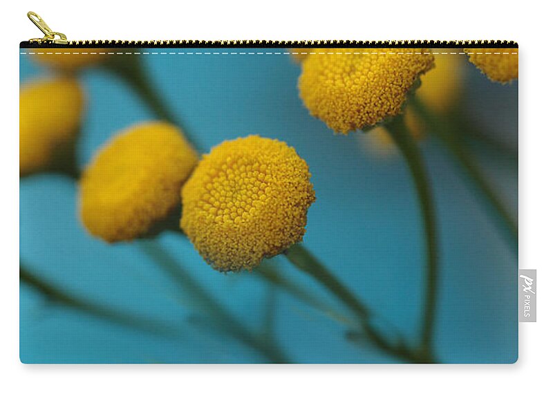 Turquoise Zip Pouch featuring the photograph A Tangle Of Tansy by Connie Handscomb