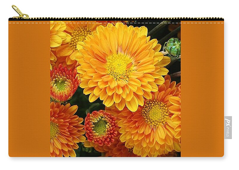 Flora Zip Pouch featuring the photograph A Touch of Autumn by Bruce Bley