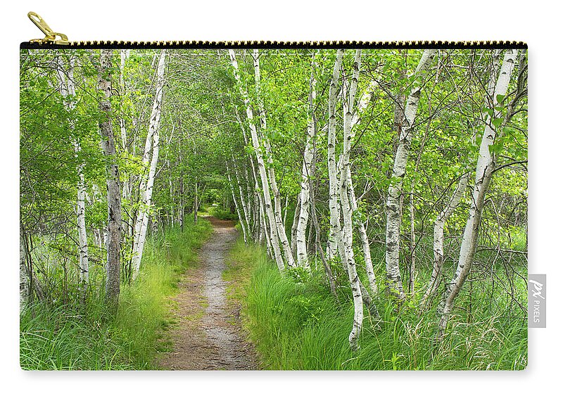 Acadia National Park Carry-all Pouch featuring the photograph A Walk in the Woods by Holly Ross