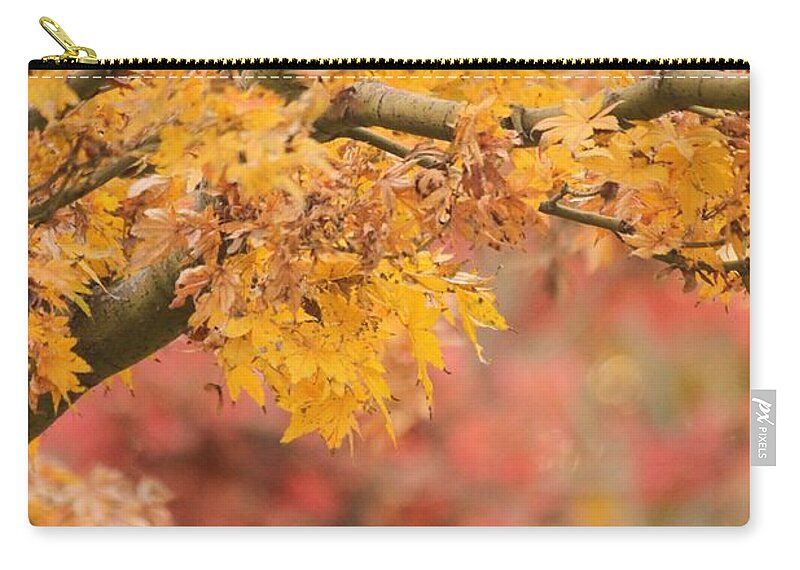 Autumn Zip Pouch featuring the photograph A Walk Through Autumn by Amy Gallagher