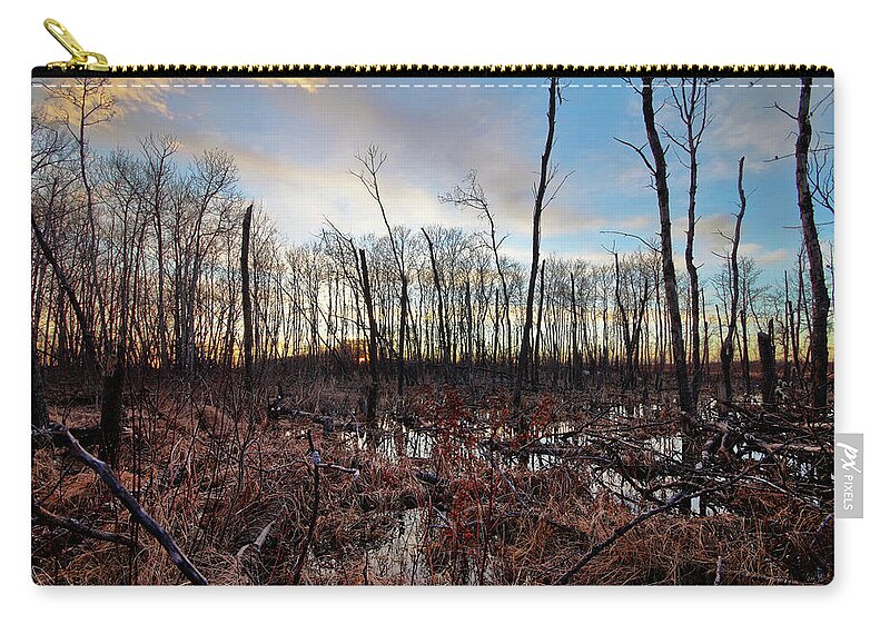 Trees Zip Pouch featuring the photograph A Wet Decay by Ryan Crouse