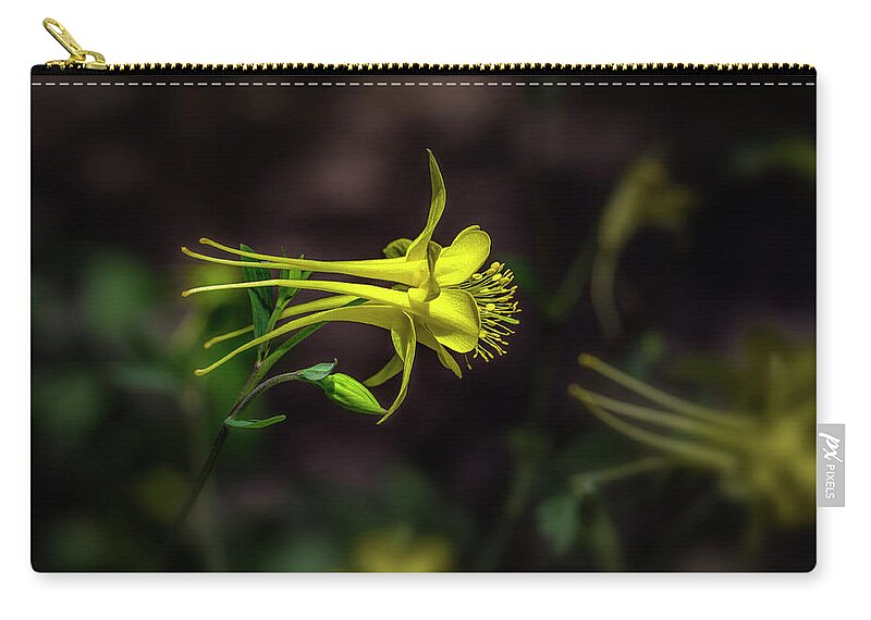 Flower Zip Pouch featuring the photograph A Yellow Columbine by Michael McKenney