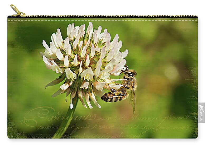 Bee Zip Pouch featuring the photograph Abeille by Patricia Montgomery
