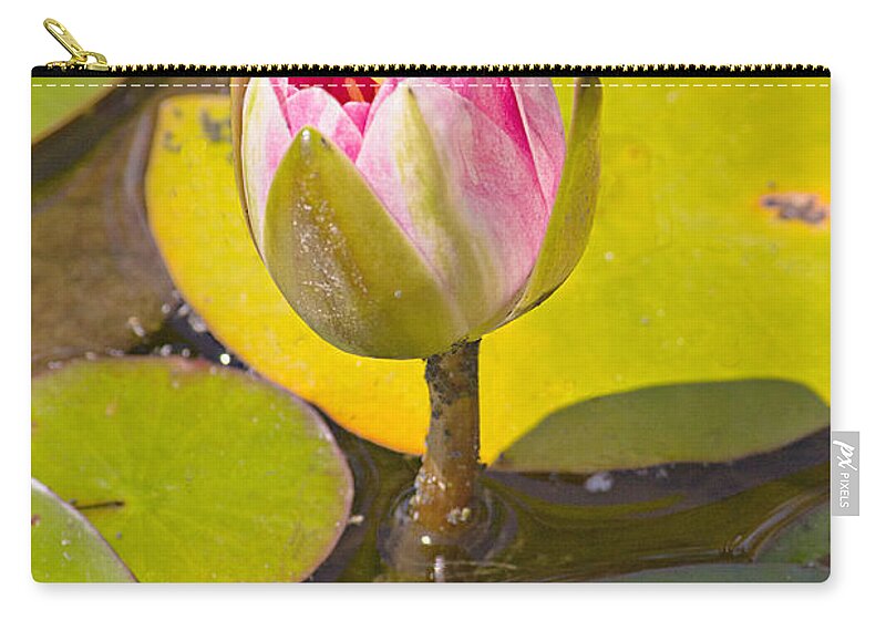 Flower Zip Pouch featuring the photograph About to Bloom by Peter J Sucy