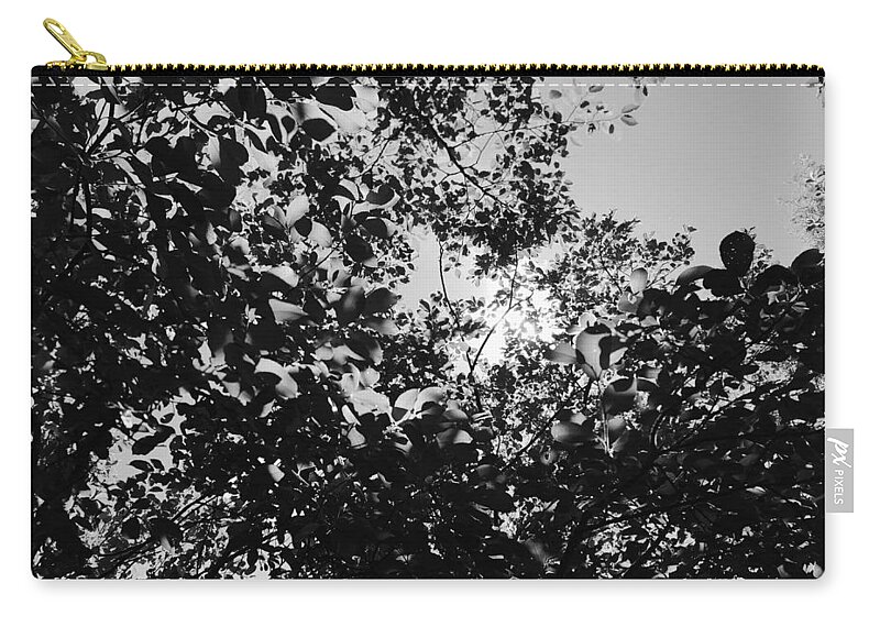 Abstract Zip Pouch featuring the photograph Abstract Leaves Sun Sky by Chriss Pagani