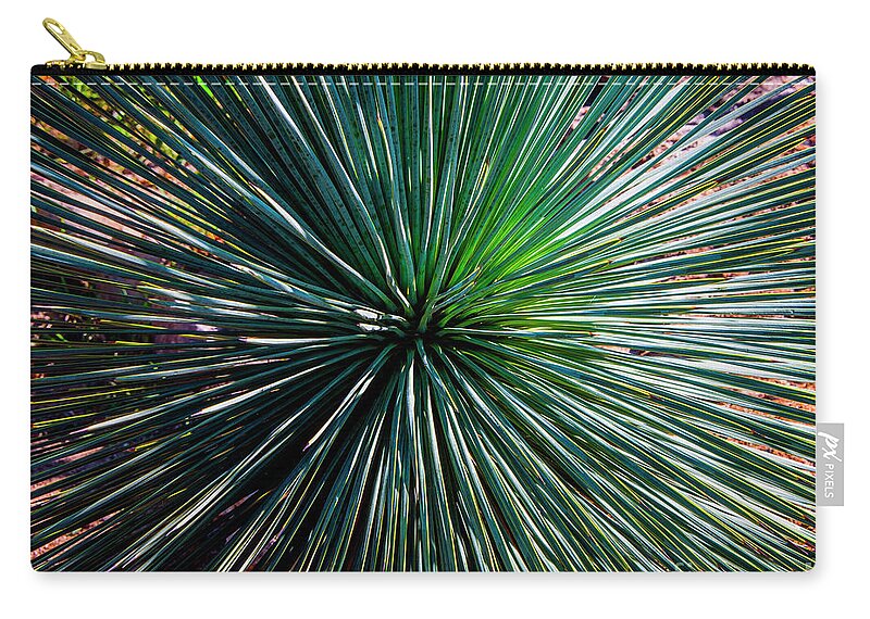 207 Zip Pouch featuring the photograph Abstract Nature Desert Cactus Photo 207 Blue Green by Ricardos Creations