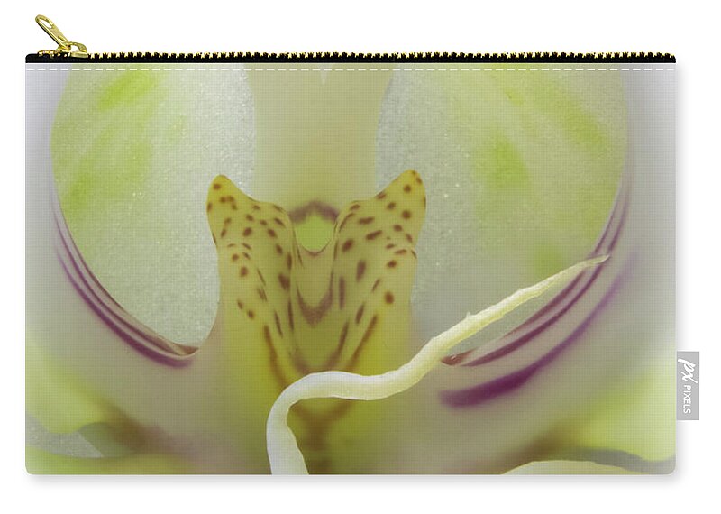 Flower Zip Pouch featuring the photograph Abstract Orchid by Patti Deters