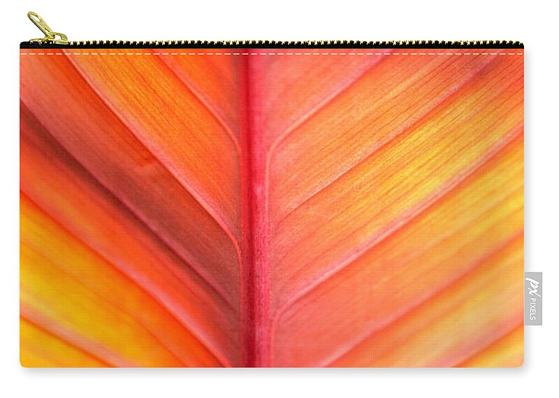 Pattern Zip Pouch featuring the photograph Abstract by Tony Cordoza