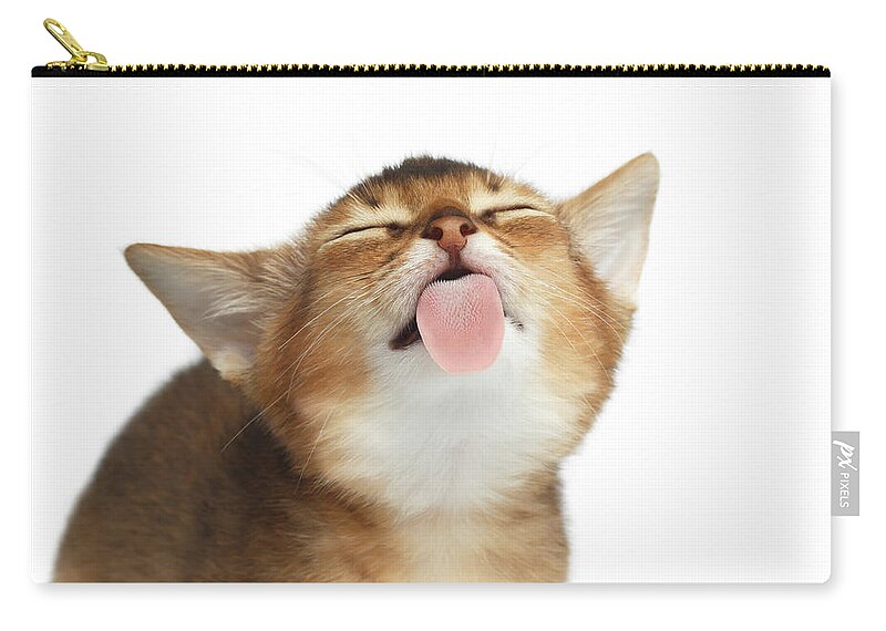Kitten Zip Pouch featuring the photograph Abyssinian Kitten Licking screen by Sergey Taran