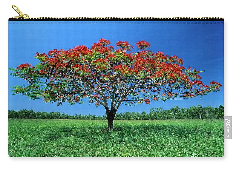 00785388 Zip Pouch featuring the photograph Acacia Tree Flowering by Thomas Marent