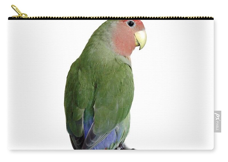 Bird Zip Pouch featuring the photograph Adorable Pickle on a transparent background by Terri Waters
