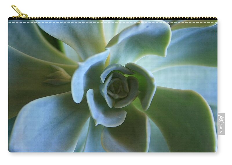 Aeonium Zip Pouch featuring the photograph Aeonium by Marna Edwards Flavell