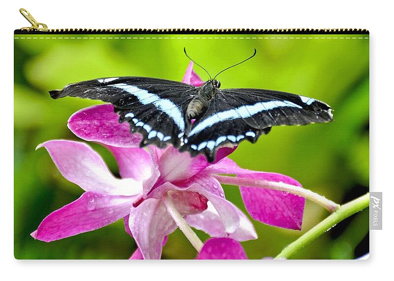 Nature Zip Pouch featuring the photograph African Blue Banded Swallowtail Butterfly by Amy McDaniel
