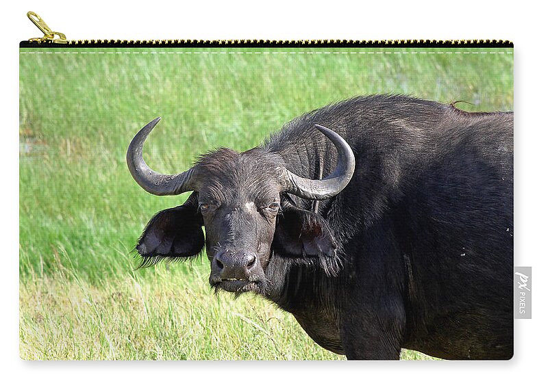 African Buffalo Zip Pouch featuring the photograph African Buffalo by Tony Murtagh