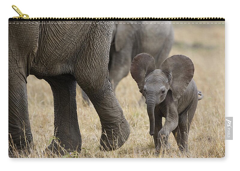 00784043 Carry-all Pouch featuring the photograph African Elephant Mother And Under 3 by Suzi Eszterhas