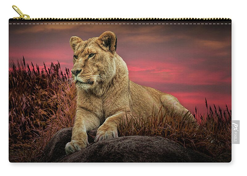 Lion Zip Pouch featuring the photograph African Female Lion in the Grass at Sunset by Randall Nyhof