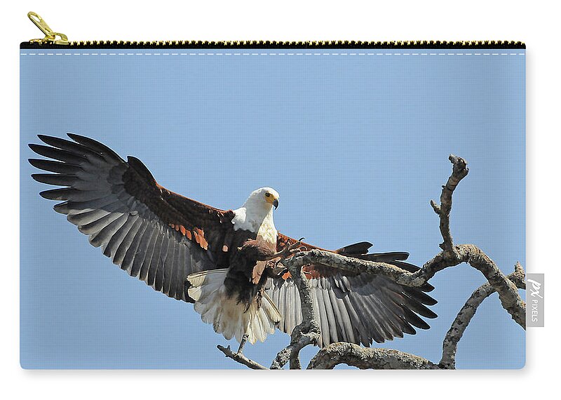 Africa Carry-all Pouch featuring the photograph African Fish Eagle by Ted Keller